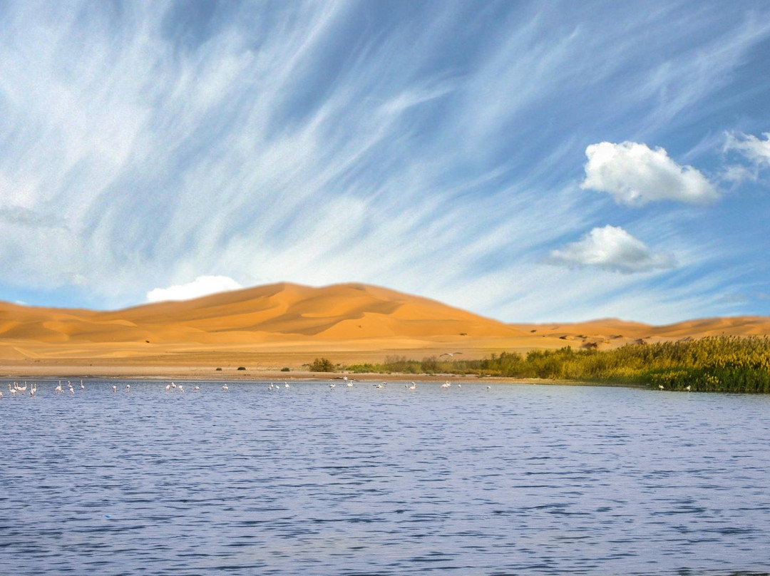 Ouargla Province旅游攻略图片