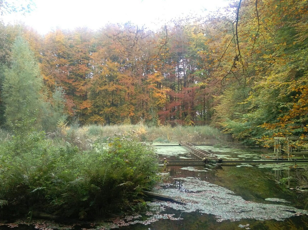 null-Marknesse