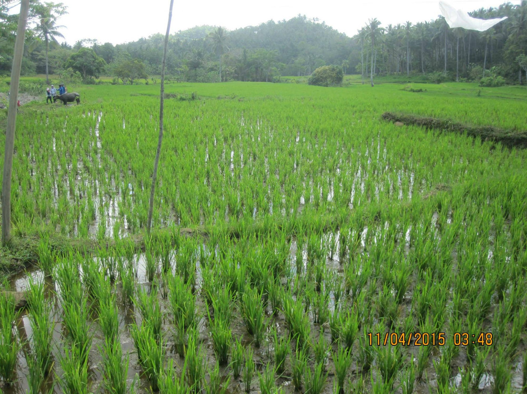 Mt. Cadig-Labo必去景点