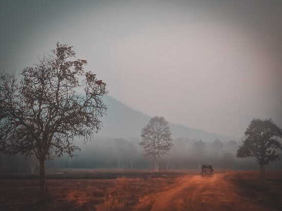 Panna National Park景点图片