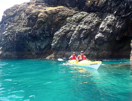 Cable Bay Kayaks-尼尔森必去景点