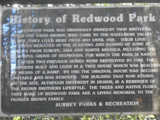 Redwood Park景点图片