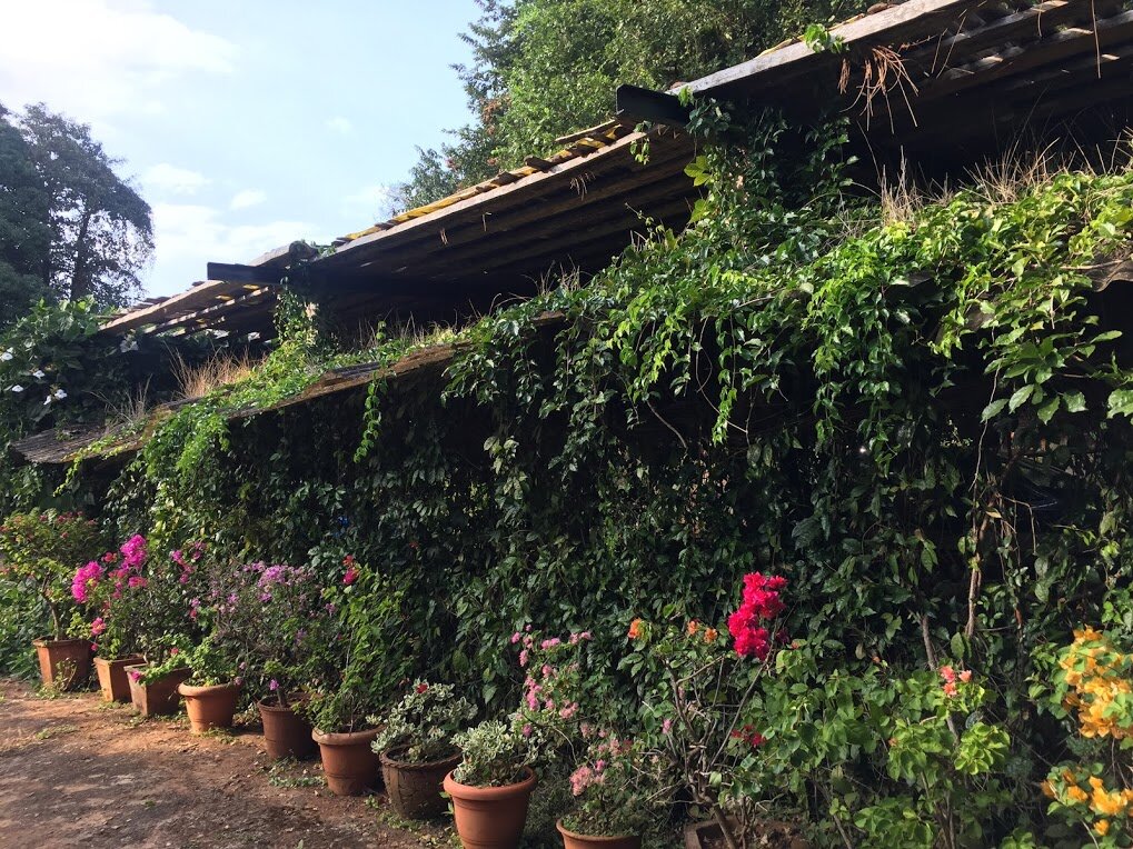 Inchara Homestay-官方