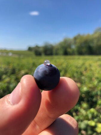 Domaine Jeannot-默尔索必去景点