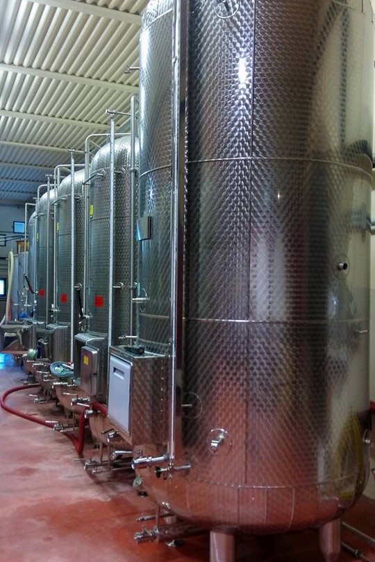 Cantina Cirotto
