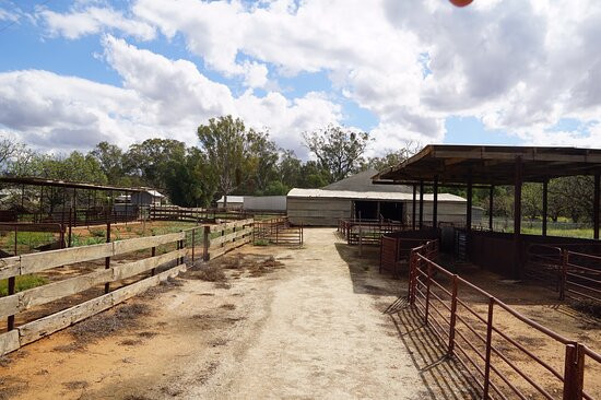 Yanga National Park-Balranald必去景点