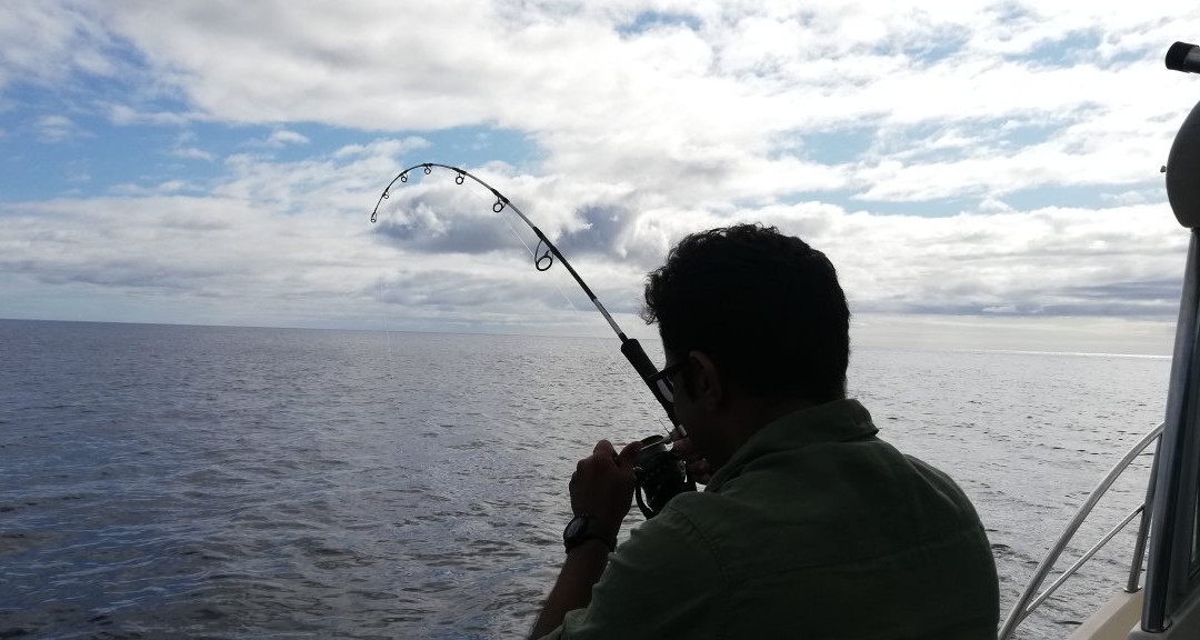 Pico Sport Fishing MT 03/2011-Lajes do Pico必去景点