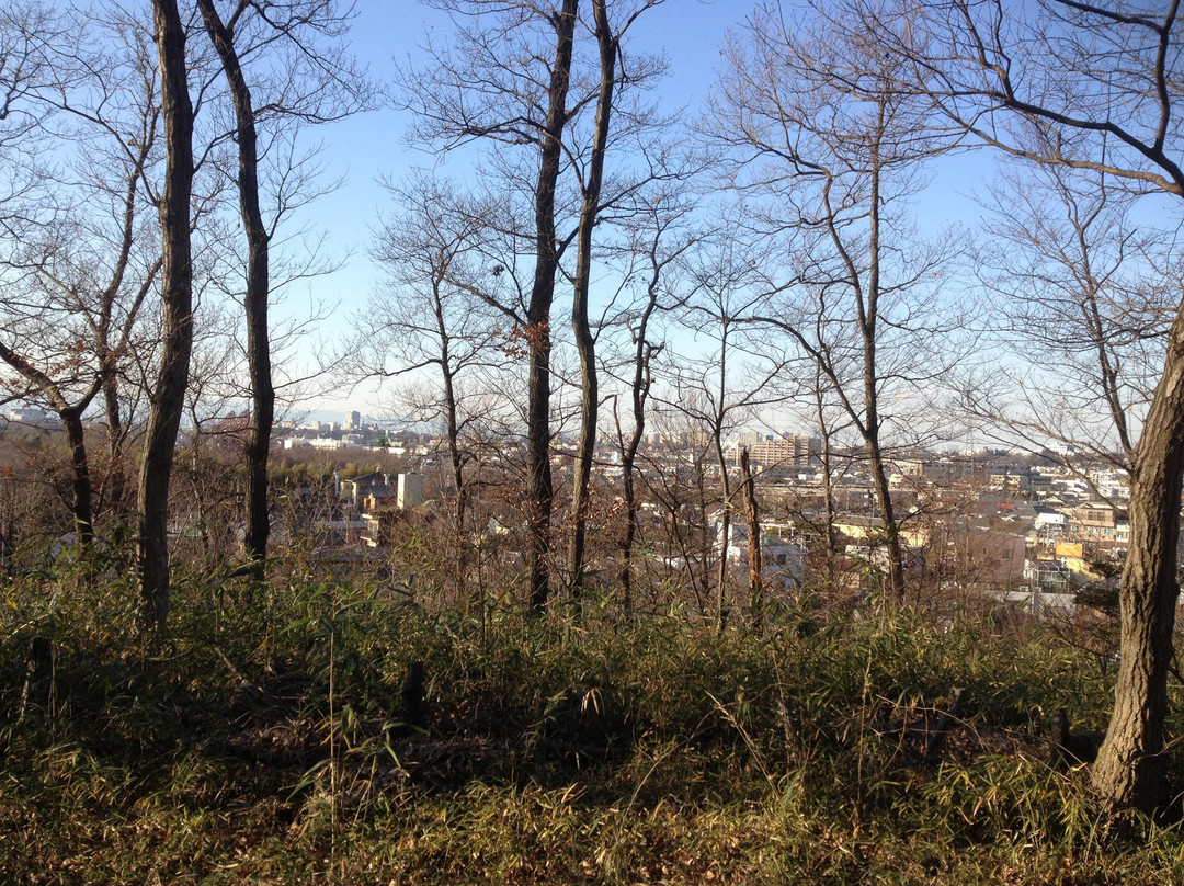 府中市旅游景点-Sengenyama Park