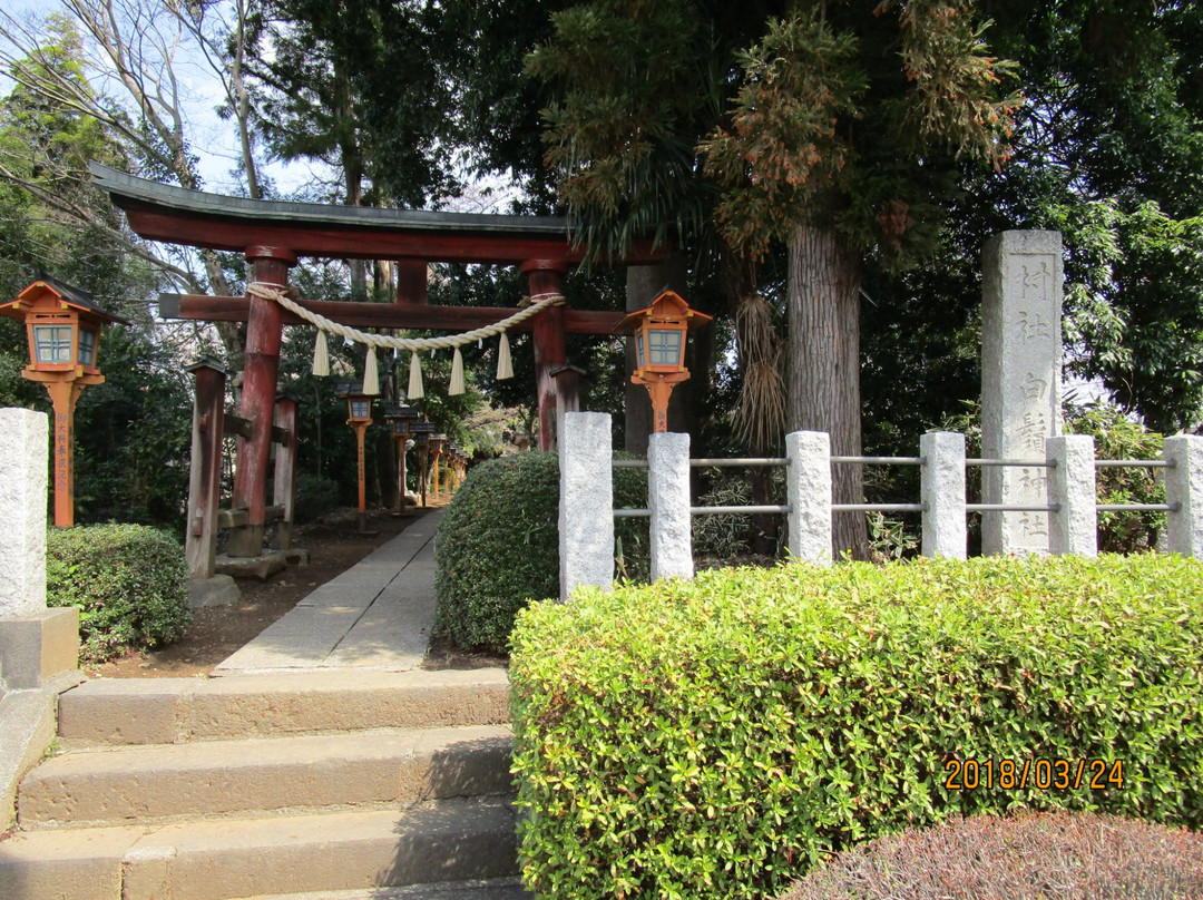 Shirahige Shrine-鹤岛市必去景点