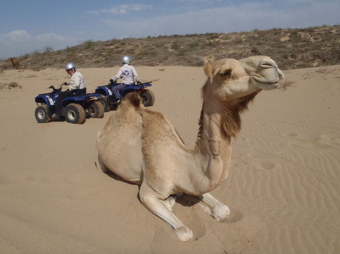 Palma Quad-索维拉必去景点