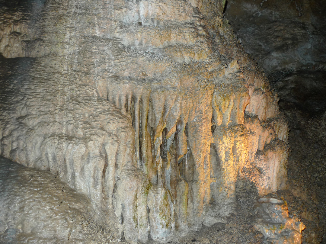 Gardner Cave景点图片