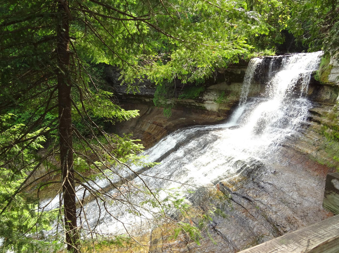 Deerton旅游攻略图片