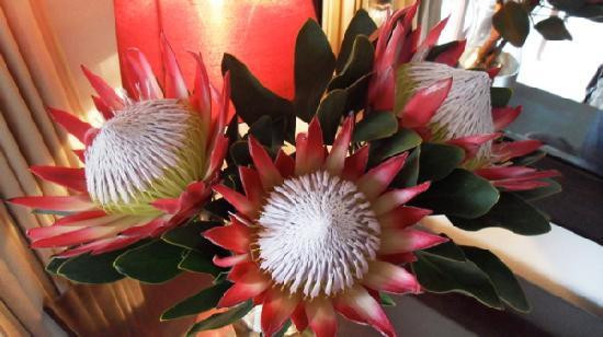 康士坦提亚酒店住宿-东格拉酒店