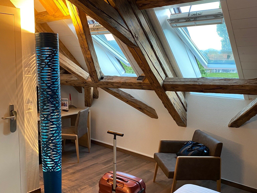La Croix d'Or- Hotel-Restaurant主图