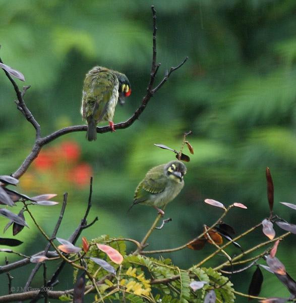 Cuc Phuong National Park Tour - Private Day Tours景点图片