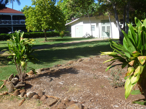 The King's Taro Patch-拉海纳必去景点