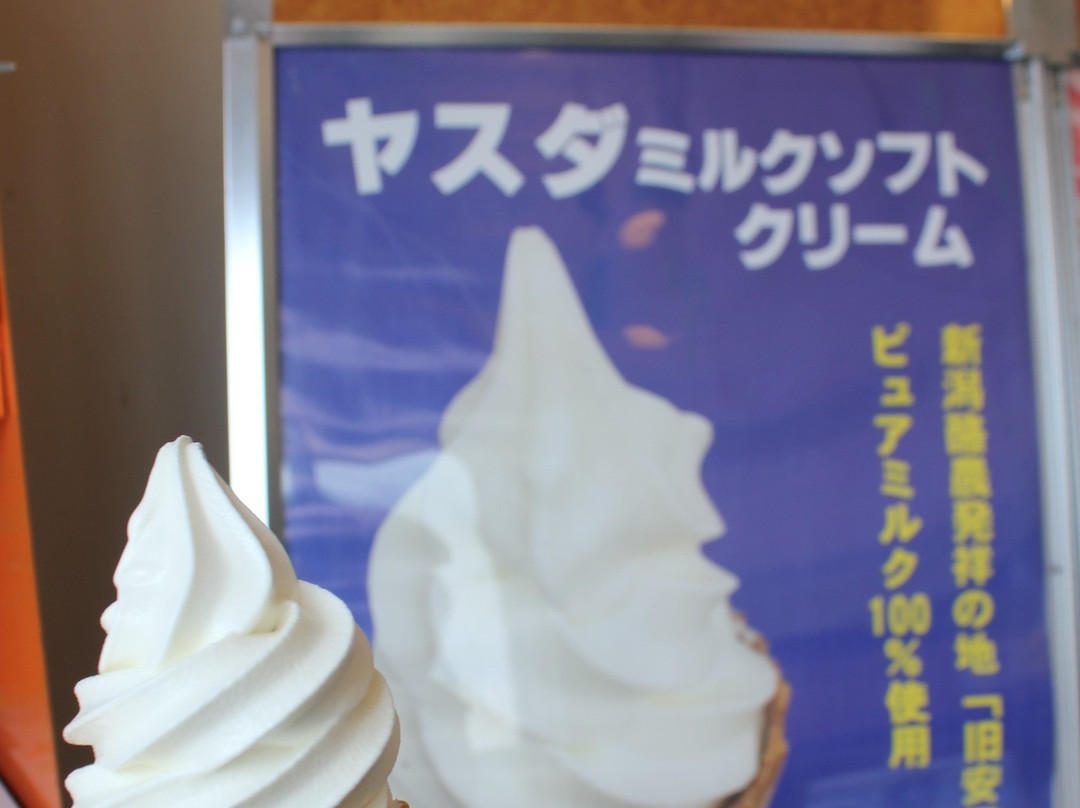 Aganogawa Service Area Inbound-阿贺町必去景点