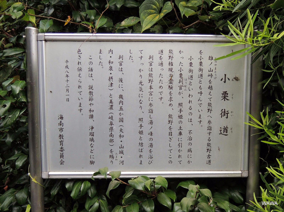 Kumano Moude Oguri Way