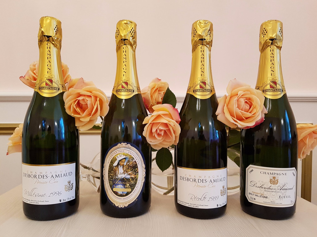 Bulles et Bonheur champagne Elodie D-埃佩尔内必去景点