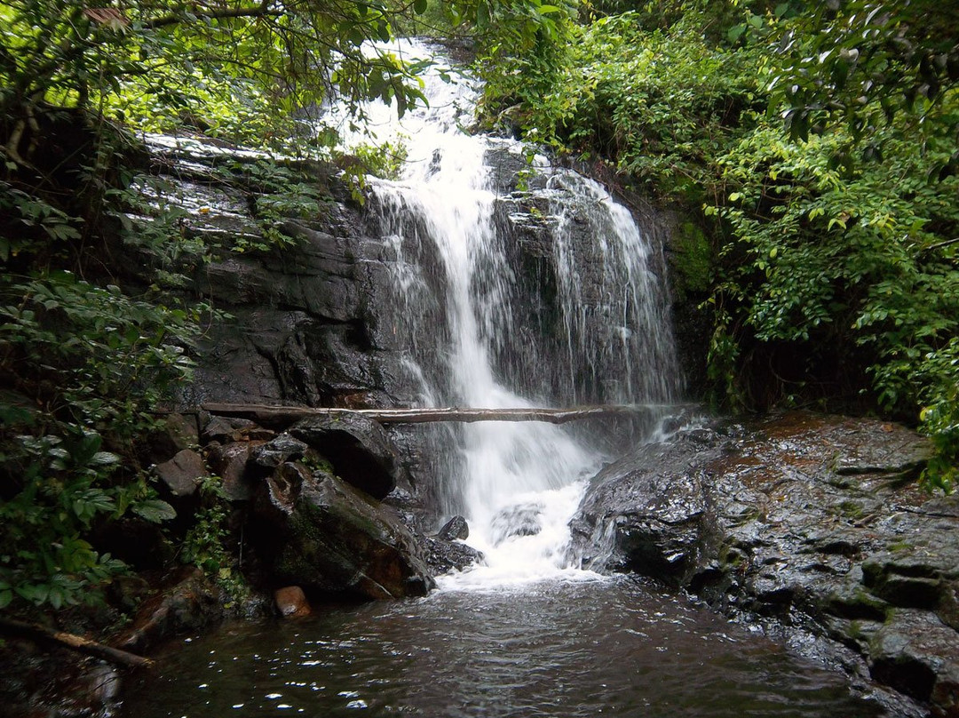 Pattathipara Waterfall景点图片