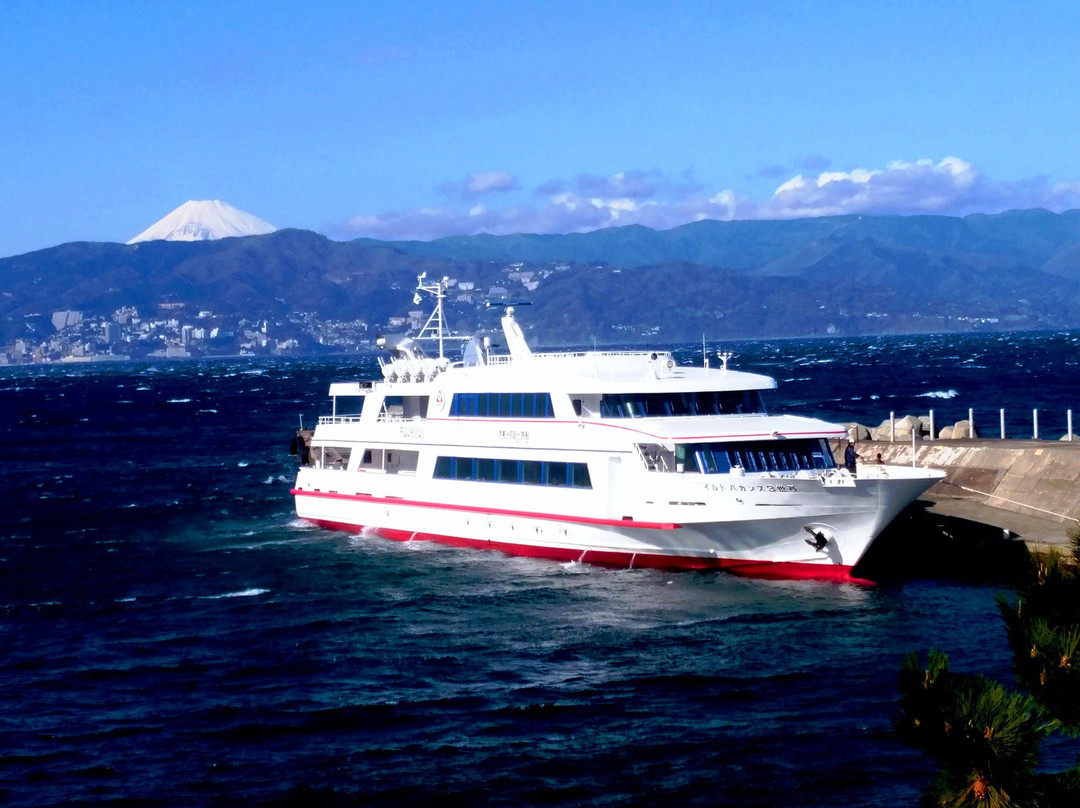 Hatsushima Ferry, Fujikyu Marine Resort景点图片