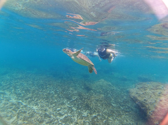 Stefano Santana-费尔南多-迪诺罗尼亚群岛必去景点