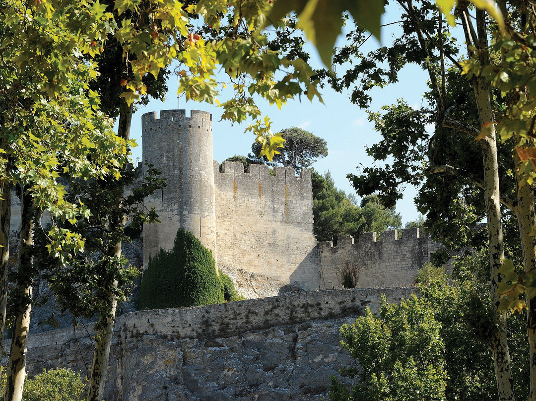 Château de Beaucaire-Beaucaire必去景点