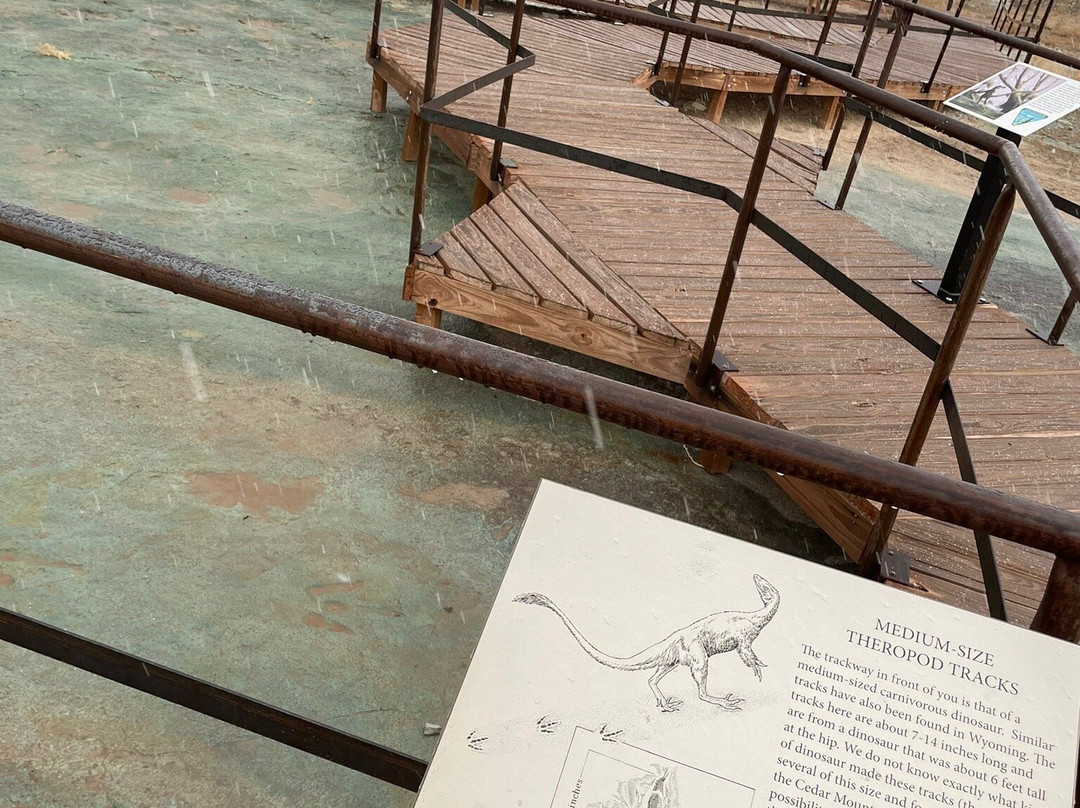 Mill Canyon Dinosaur Trail-莫阿布必去景点