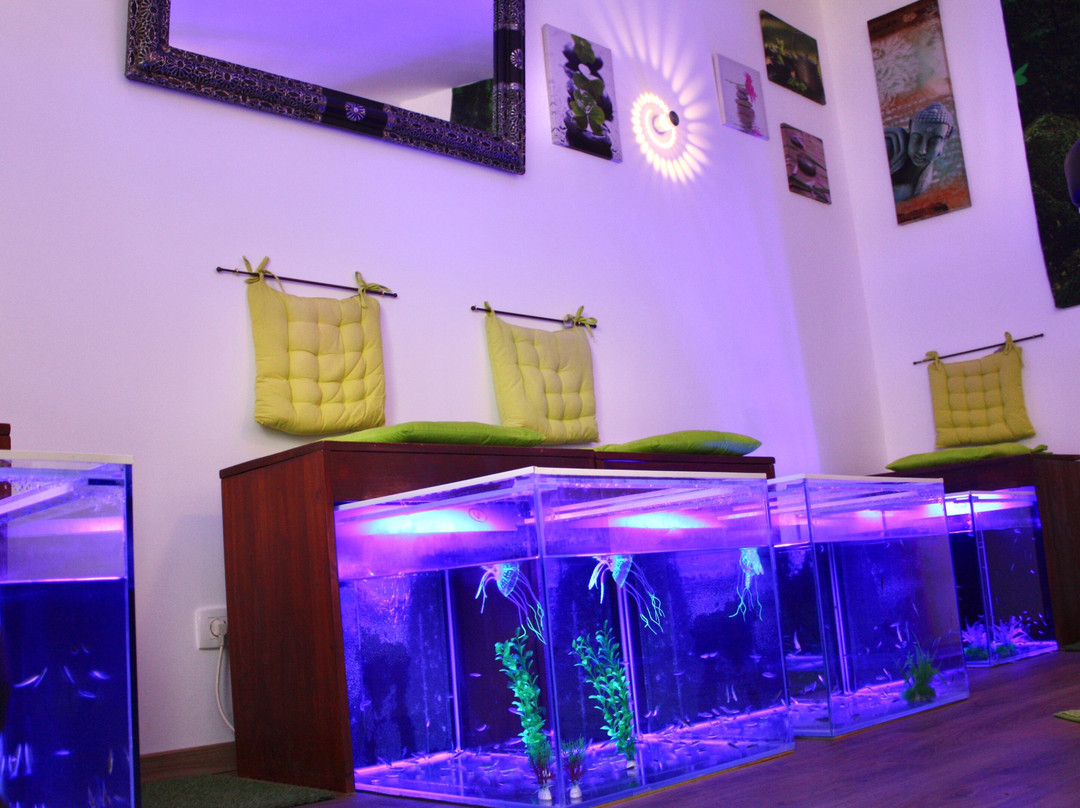 Fish Massage Villeveyrac-Villeveyrac必去景点