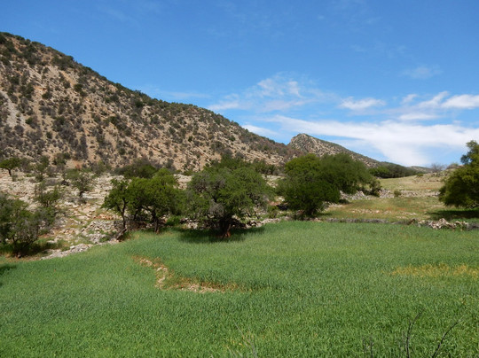 Amazigh Hike and Yoga-阿加迪尔必去景点