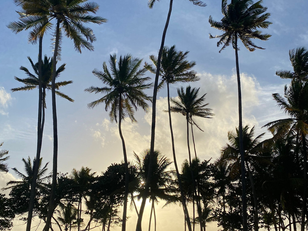 Magdalena Grand Beach & Golf Resort主图