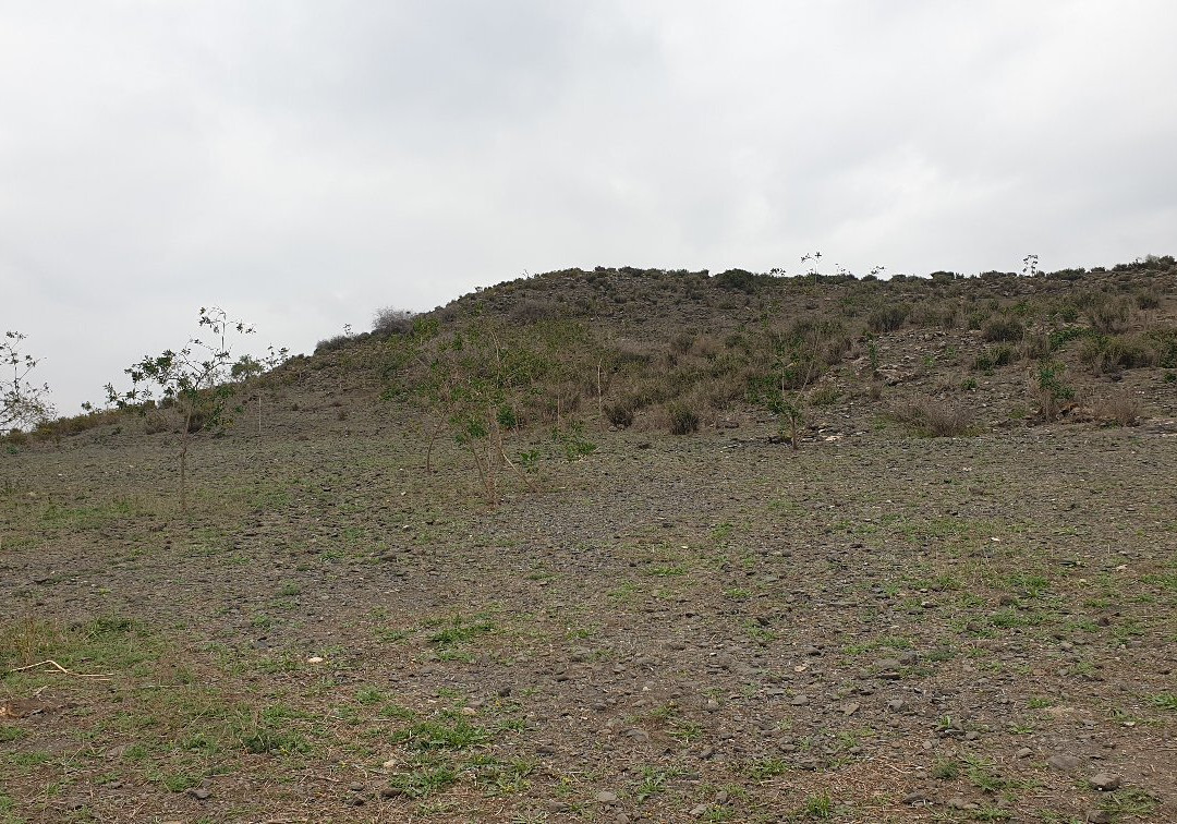 Pico Cebolla-Las Palas必去景点