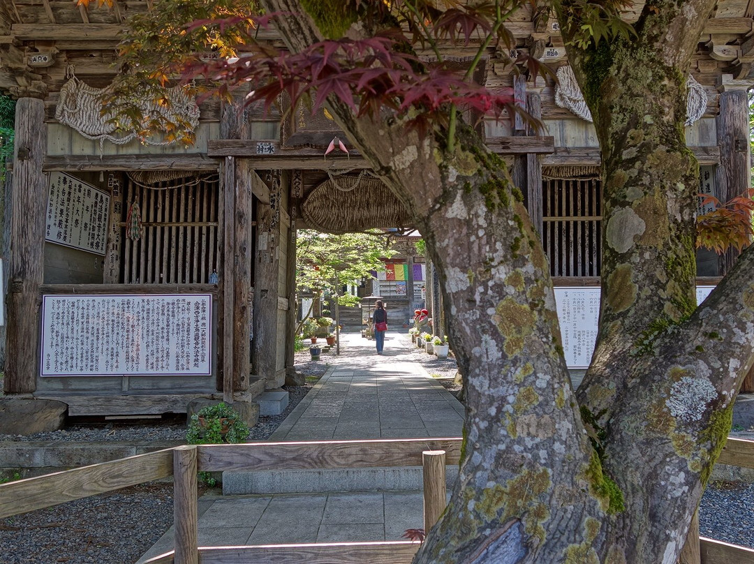 Torioi Kanon Nyohoji Temple景点图片