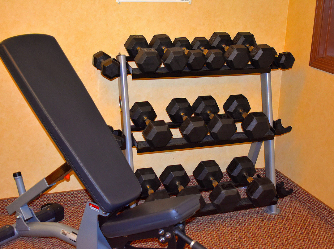 锡拉丘兹-会展场所智选假日酒店主图