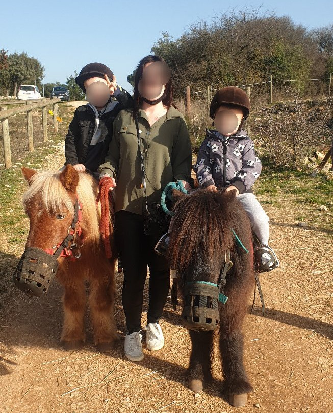 Centre Equestre De Mejannes Le Clap景点图片