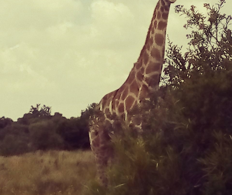 Naval Hill-布隆方丹必去景点