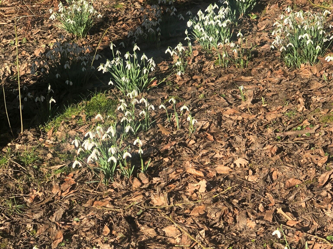 Evenley Wood Garden-Evenley必去景点