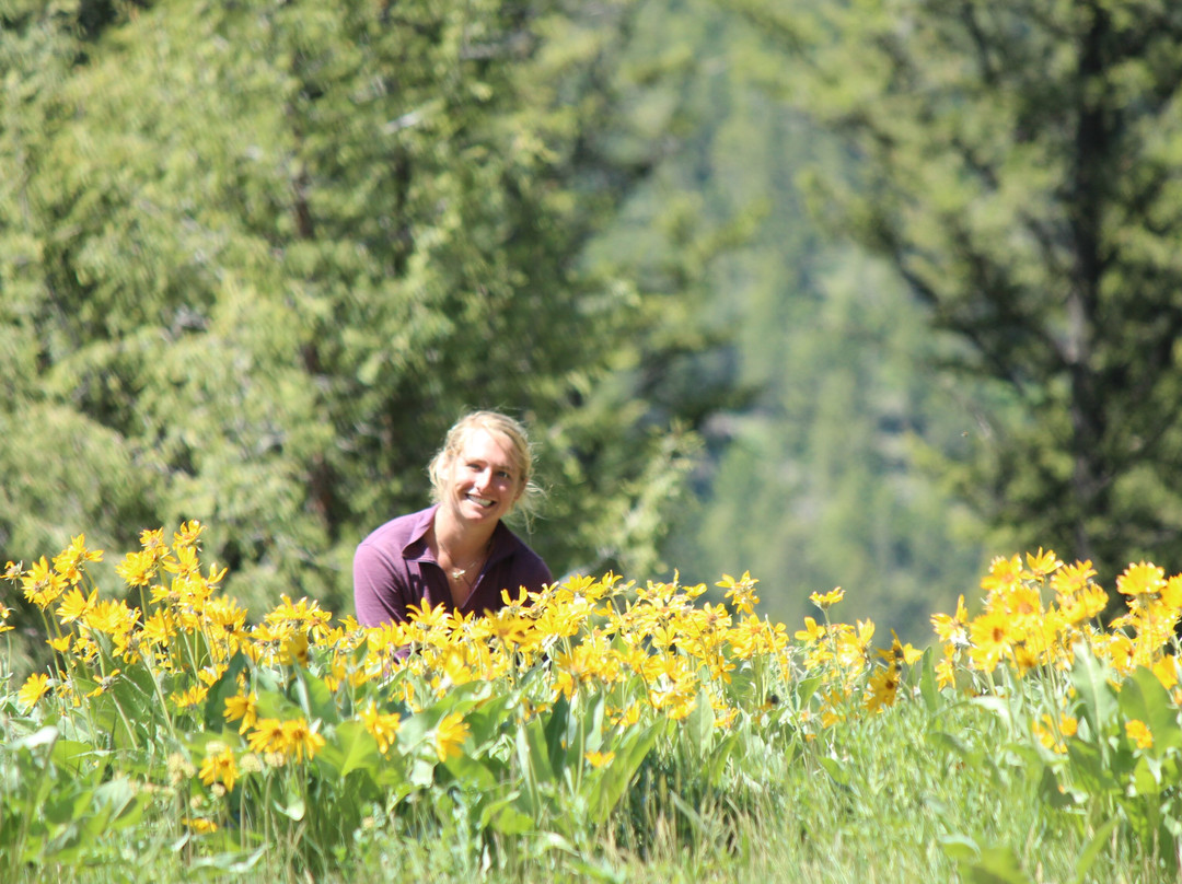 Yellowstone Hiking Guides景点图片