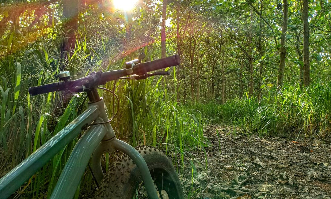 Tectona Resort主图