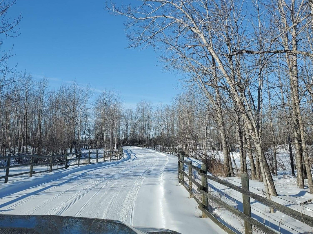 An Intimate Garden B&B主图