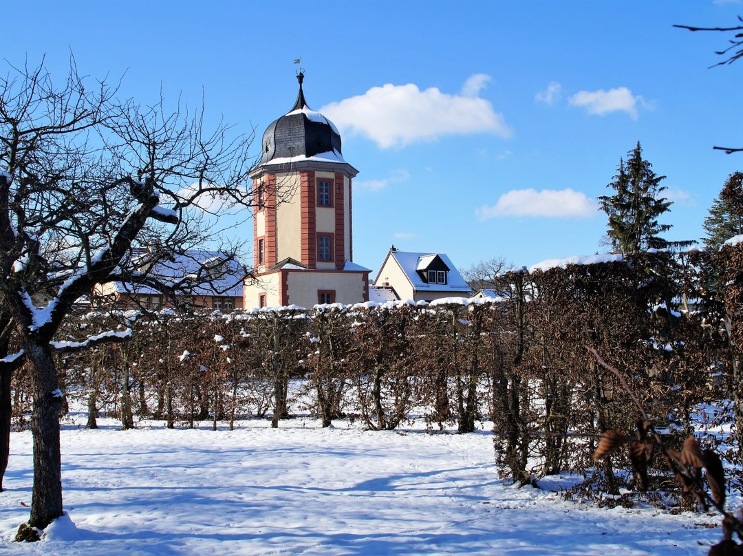 Schloss Veitshöchheim景点图片