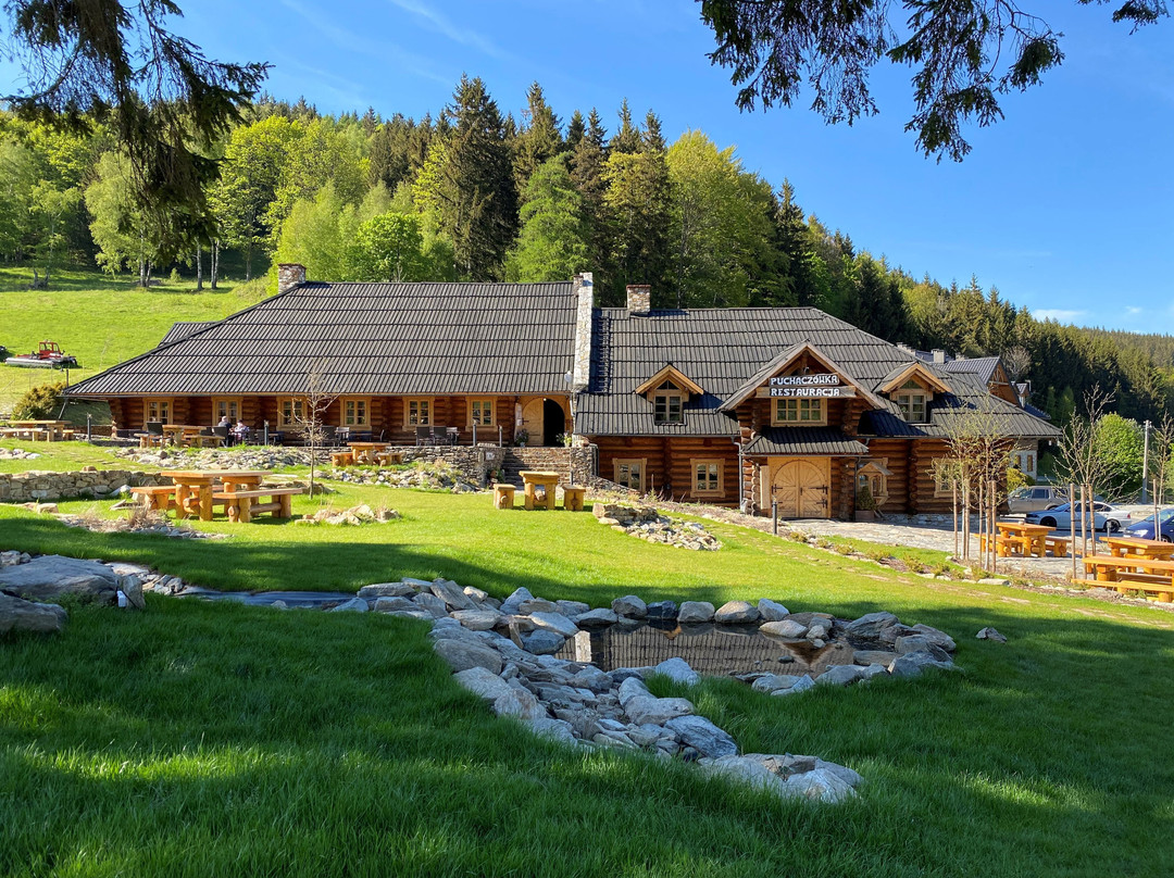 Stronie Slaskie酒店住宿-Pensjonat Puchaczowka