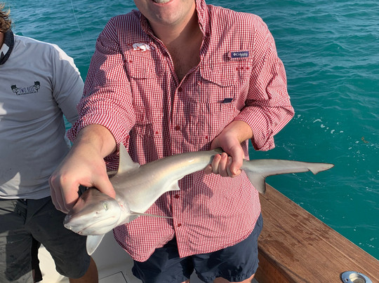 Key Largo Sportfishing LLC-拉哥岛必去景点