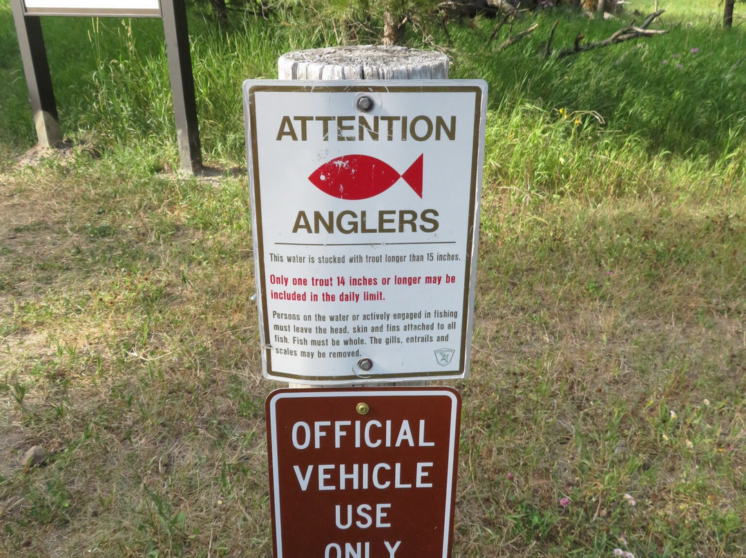 Grace Coolidge Creek-卡斯特必去景点