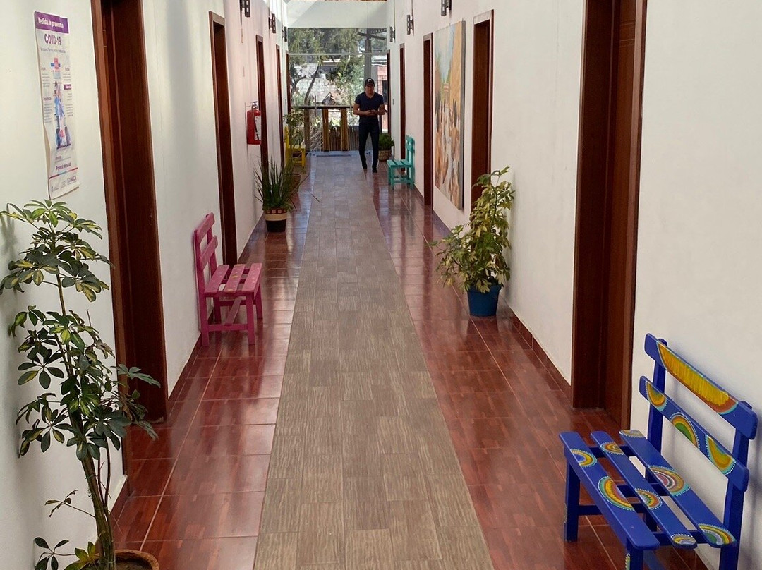 Hotel El Jaguar主图