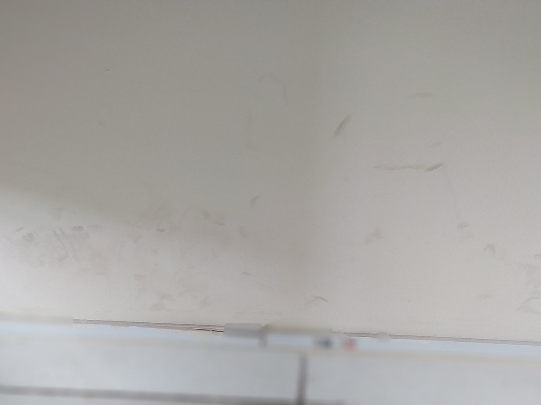 Vilhar Palace Hotel主图