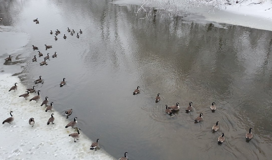 Foster Park-科科莫必去景点