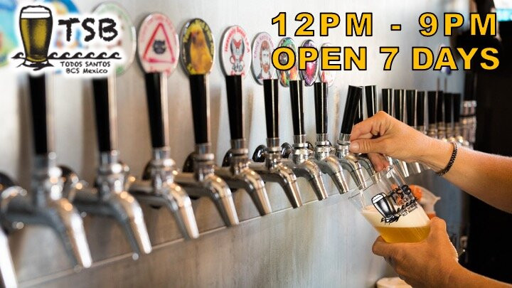 Todos Santos Brewing