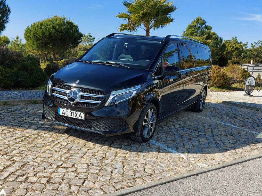 SeagullCircuit-法罗必去景点