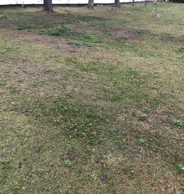 Schlosspark-莫里茨堡必去景点